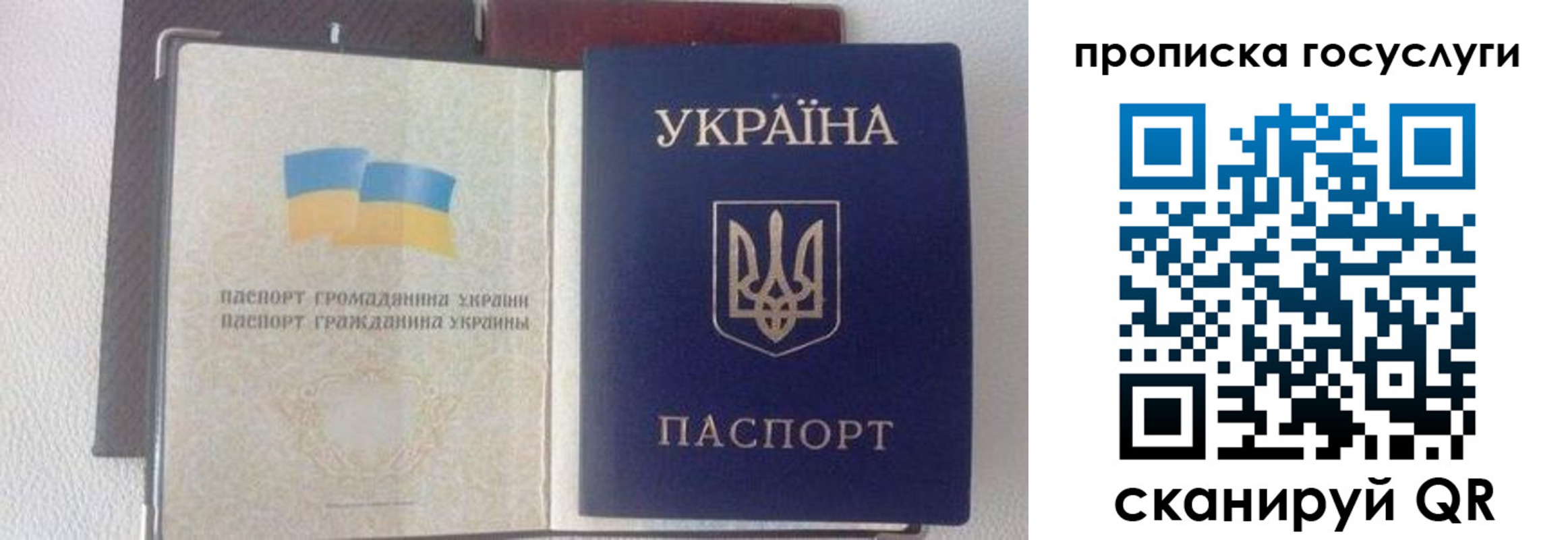 временная регистрация недорого в Химках